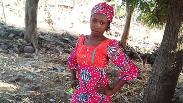 尼日利亚总统承诺，会加倍努争取绑架已两年的丽赫·萨利布获释